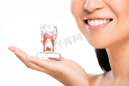 部分视图的快乐女人拿着牙齿模型孤立在白色