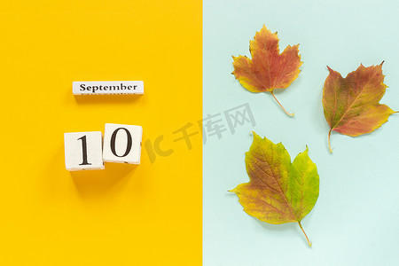秋季组成。木历9月10日，黄秋叶在黄蓝色背景。顶视图 平 铺 模型 概念 你好 九月