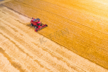 日落时分摄影照片_日落时分，一个红色的组合在田里收割小麦。在田里工作的收割机。无人机的空中观察