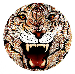 入圈设计手绘图的老虎的脸