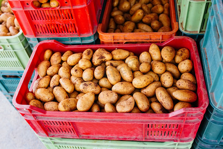 Harvested raw potatoes in a plastic boxes at a market