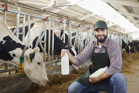 戴帽子的奶牛摄影照片_穿着制服和橡胶靴的农民微笑，坐着用干草喂牛