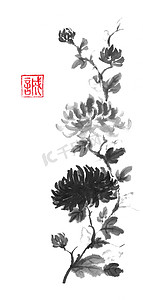 日本风格的原始 sumi e 黑暗与光明的菊花水墨画.