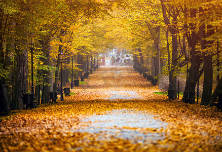 秋天公园多彩的小巷