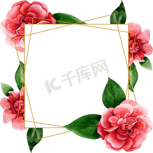 粉红色的山茶花与绿叶隔离在白色。水彩背景插图集。带复制空间的边框装饰框架.