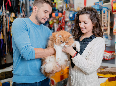 年轻夫妇与他们的波斯猫在宠物店
