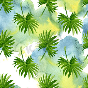 棕榈滩树叶丛林植物。水彩背景插图集。无缝背景模式.
