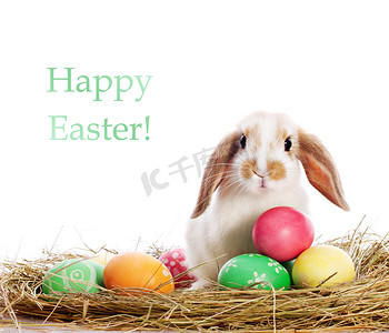 搞笑兔子和复活节彩蛋