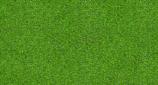 无缝自然的绿色草领域纹理横幅背景