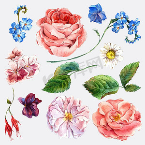 roses摄影照片_Set vintage watercolor bouquet of roses and wildflowers