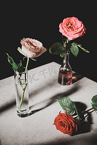 玫瑰花黑色摄影照片_在石头桌子上的玻璃瓶中, 在黑色上隔离的粉红色和红色玫瑰花的选择性焦点