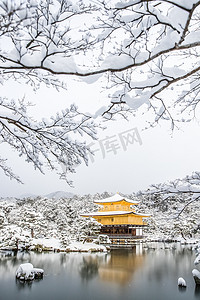 禅宗寺庙金阁寺 (金黄亭子) 与雪秋天在冬天2017。金阁寺是 Kyotos 的主要寺庙之一, 被联合国教科文组织誉为世界文化遗产。