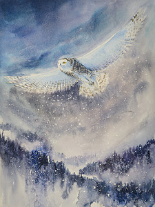 雪白的猫头鹰水彩画画