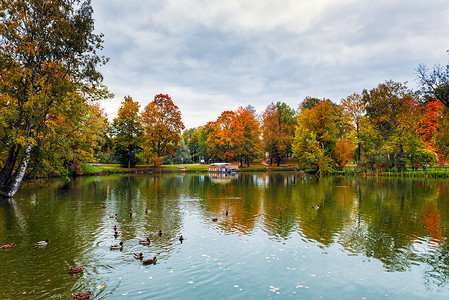钗摄影照片_在拉脱维亚钗镇附近的秋园湖