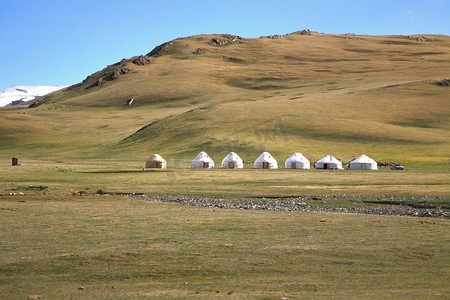 大牧场摄影照片_ 在乌兰巴托的一个大牧场, 内蒙古营地