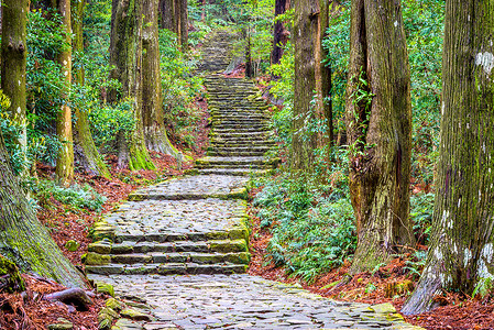 熊野高堂步道日本