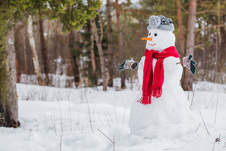 在森林中戴红领巾的雪人 