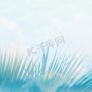 夏季背景与棕榈叶在浅蓝色的天空复古风格.