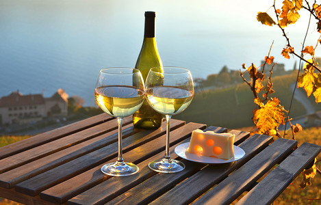 葡萄酒和葡萄对瑞士日内瓦湖