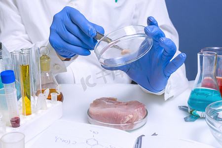 质量控制专家在实验室对肉制品进行检验
