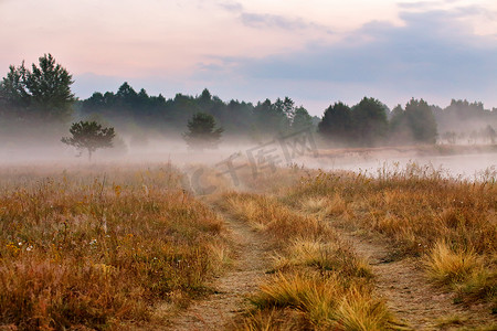 河岸摄影照片_有雾的土路在夏天早晨河岸。雾霭的清晨，在夏天干了什么