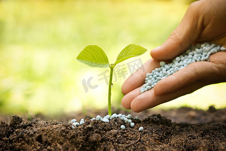 植物对土壤肥料