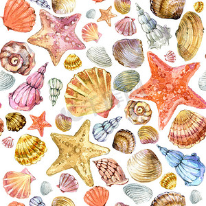 海壳。海贝壳水彩图案。海滩贝壳纹理背景.