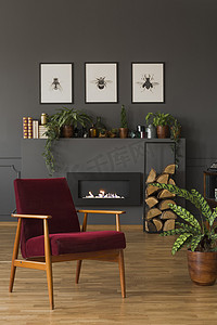深红色木扶手椅旁边的植物灰色客厅内张贴海报。真实照片