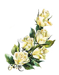 white roses watercolor