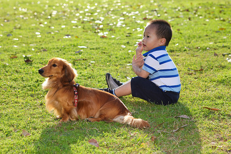 中国孩子与一只狗在公园观看