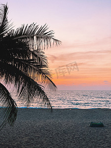 美丽的热带椰子棕榈树在空旷的海滩上与五颜六色的日落与拳头的粉红色，橙色和紫色的剪影。极简的背景与复古的粉红色色调过滤器。夏季、旅游和度假理念. 