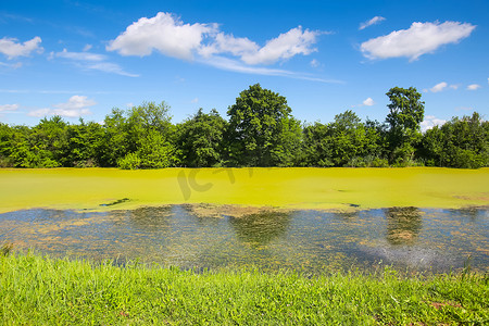 苏博摄影照片_克罗地亚温科维奇被藻类盛开覆盖的绿色河流博苏特的景色.