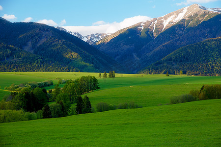 美丽的风景，绿色草甸与背景雪山。斯洛伐克中, 欧.