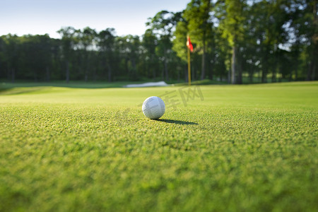 närbild på golfboll på green