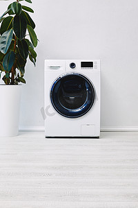 洗衣机洗衣机摄影照片_浴室里靠近现代洗衣机的绿色植物 