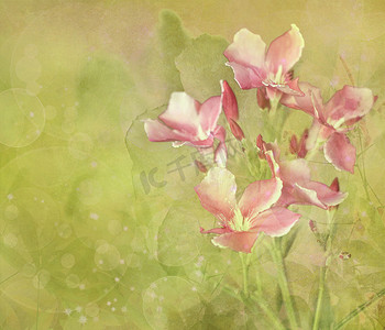 Flower Garden Digital Painting Background