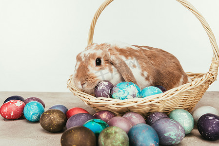 家养兔子躺在稻草篮里, 上面画着复活节彩蛋