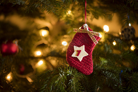 12月12日摄影照片_传统的农历12月1日的日期挂在一棵传统的圣诞树上.