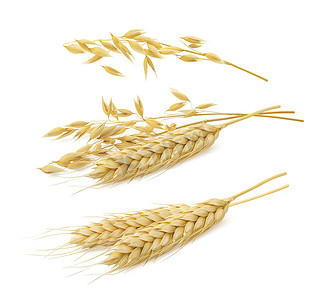 小麦摄影照片_白色背景下的小麦和燕麦集分离