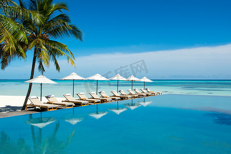 在印度洋海岸的大无限水池与日光浴和雨伞在棕榈树的树荫下