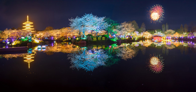 武汉樱花摄影照片_武汉樱花花园春天的风景