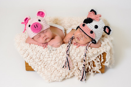 睡觉的异卵双胞胎的初生婴儿女孩穿着钩的猪和牛的帽子.