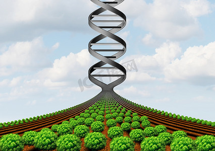 转基因农业和农业遗传学和转基因作物或生长食品生物技术科学和农业产量技术3d 例证.