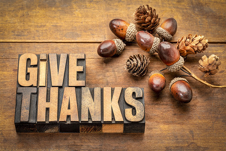 感恩感恩节摄影照片_感恩-感恩节概念-在凸版木制印刷砌块中用橡子装饰的词摘要