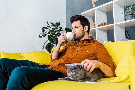 沙发猫摄影照片_英俊的男人喝咖啡, 坐在沙发上与英国速记猫
