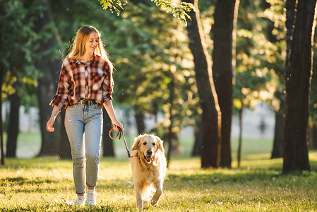 在阳光下，穿着休闲服装的女孩在草地上与金毛猎犬一起行走的全长视图