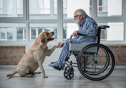 平静生病的老年男性花时间与狗