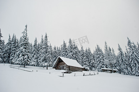 山上白雪覆盖的松树木屋 chomiak-salvi. 