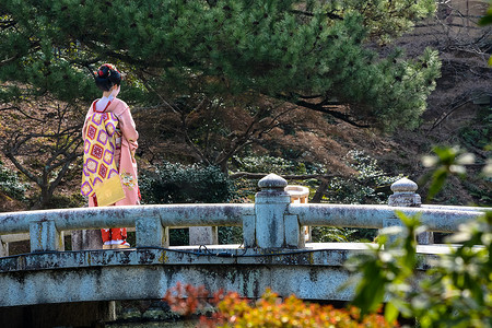 Young geisha woman on a bridge in Maruyama Park, Kyoto during spring