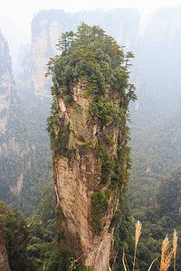 哈利路亚在张家界国家公园山 (田治山) (天子山自然保护区) 和雾，中国